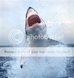 imagenes imagenes