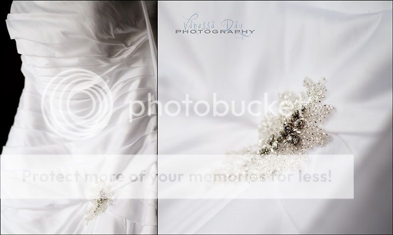 Nose Creek Park,Winter