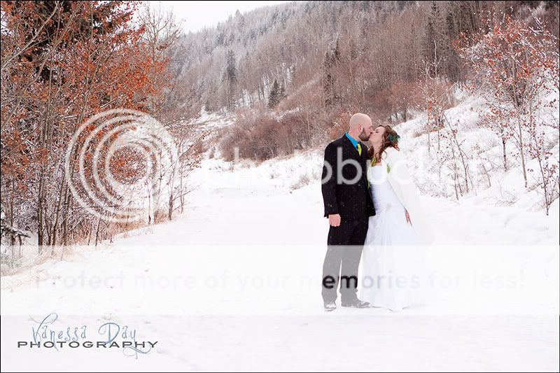 Nose Creek Park,Winter