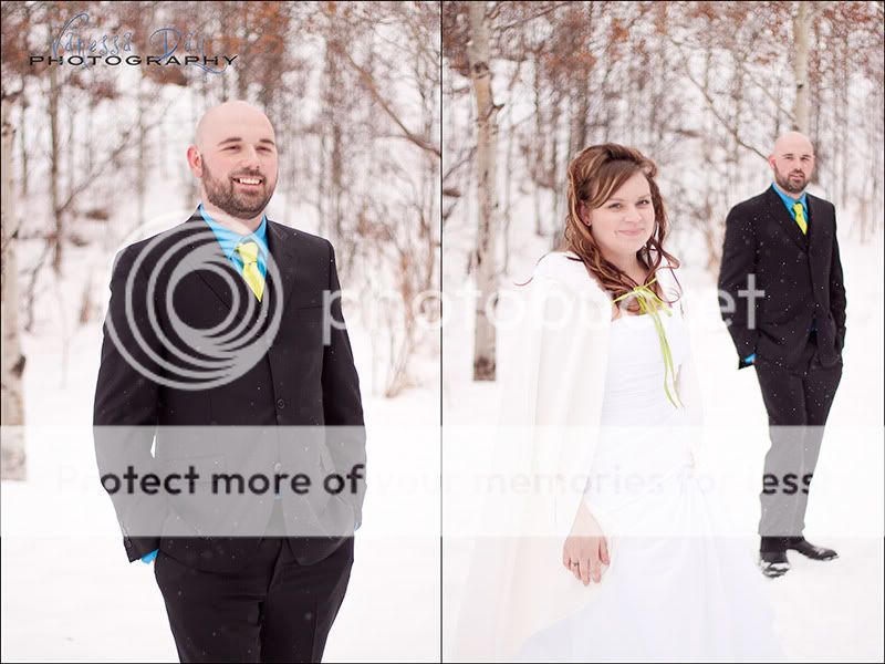 Nose Creek Park,Winter