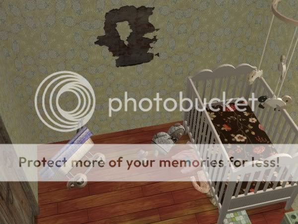 snapshot_0000000c_571df7e8.jpg