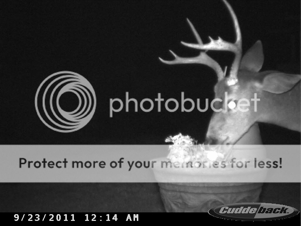 Posted Image