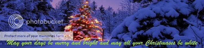 White Christmas Pictures, Images and Photos