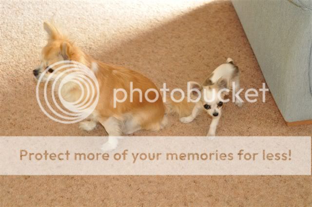 Posted Image
